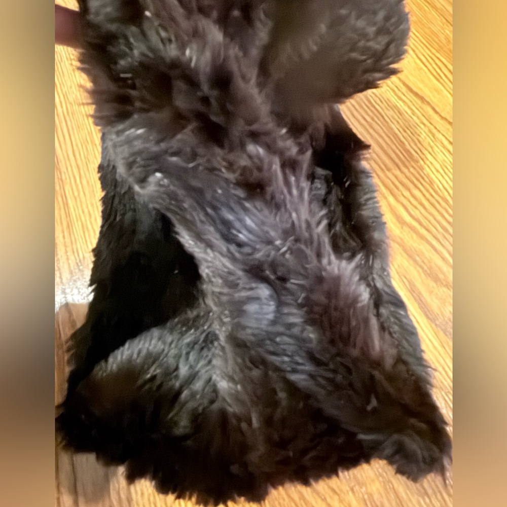 Luxurious Rabbit Fur Scarf